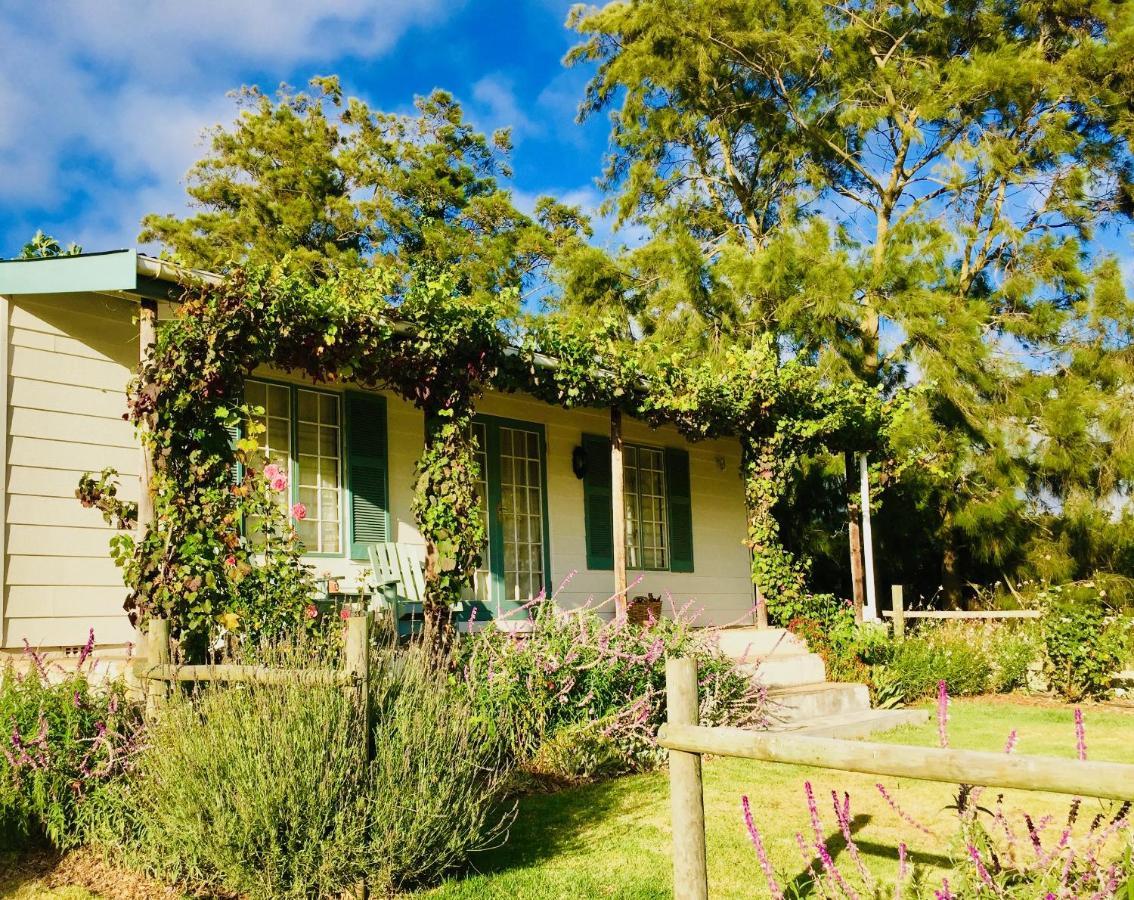 Cheverells Farm Grabouw Eksteriør billede