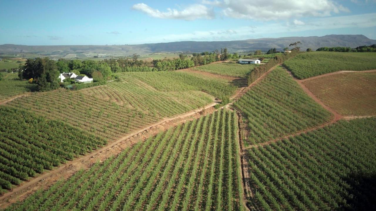 Cheverells Farm Grabouw Eksteriør billede