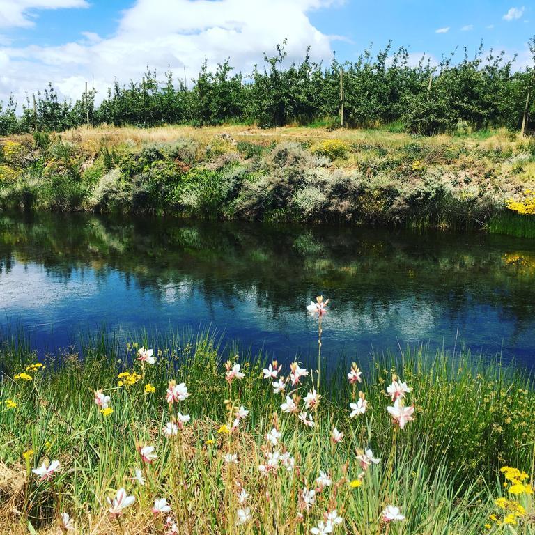 Cheverells Farm Grabouw Eksteriør billede