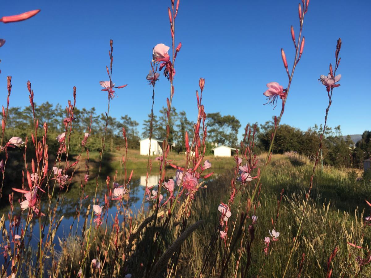 Cheverells Farm Grabouw Eksteriør billede